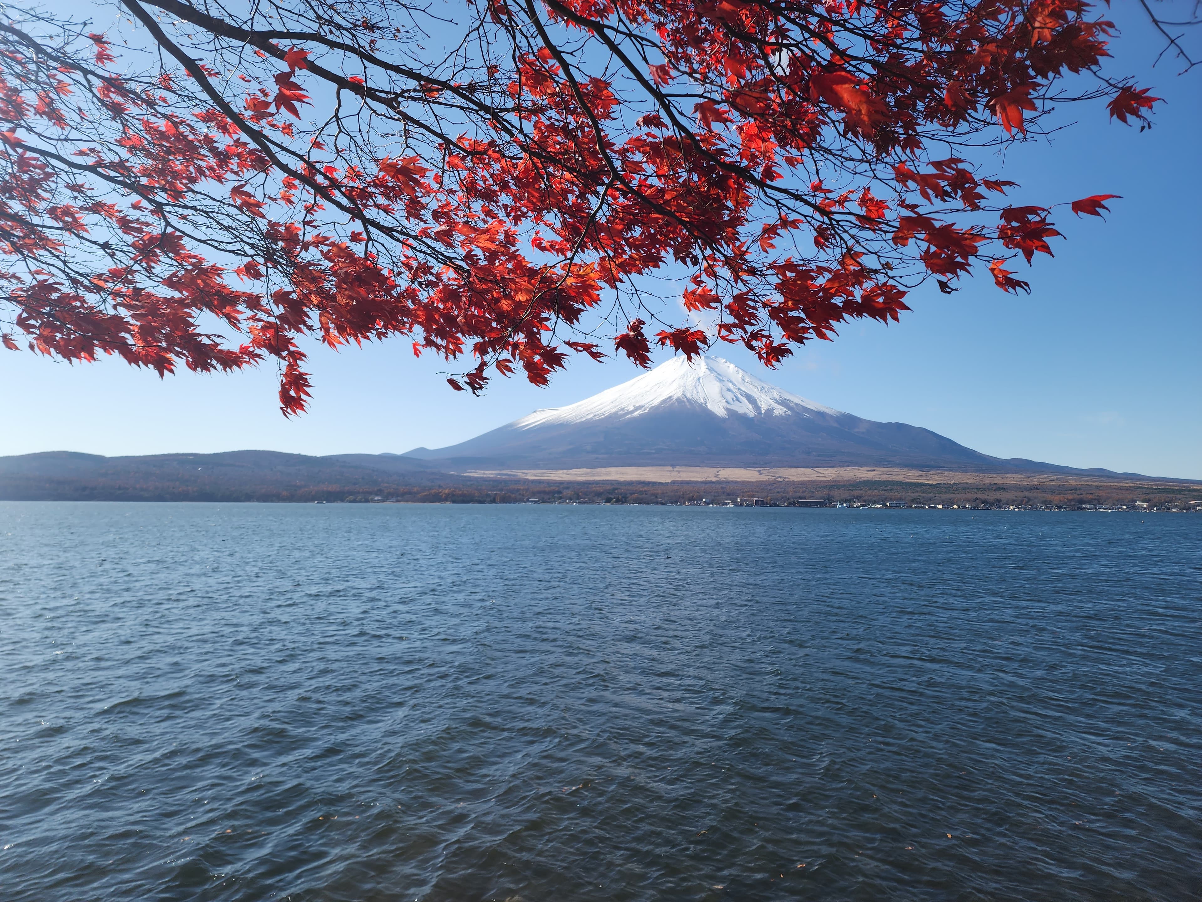 Fuji Mountain | 富士山游记